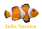 Info/Service